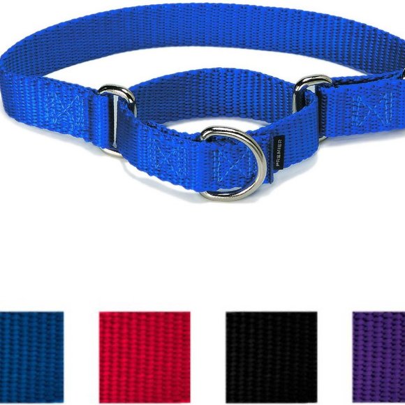 NWOT Nylon Martingale Dog Collar UNUSED - Picture 1 of 3